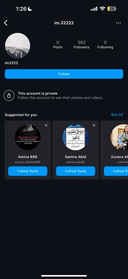 Report attachment 1 for Fake crockery page
