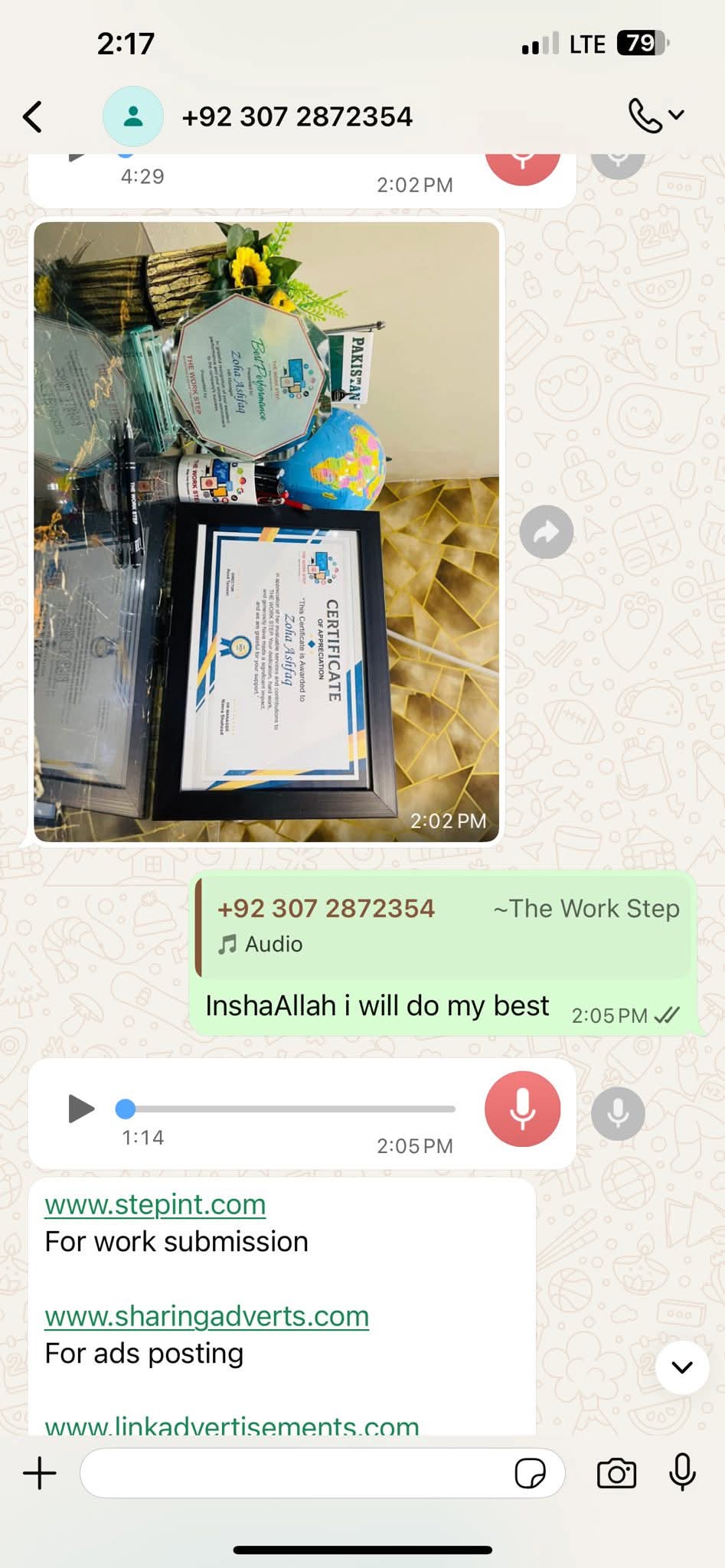 Report attachment 3 for Fake online work