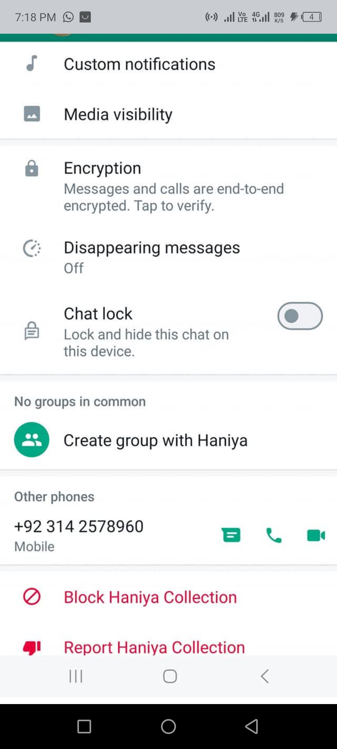 Report attachment 1 for Fake Page