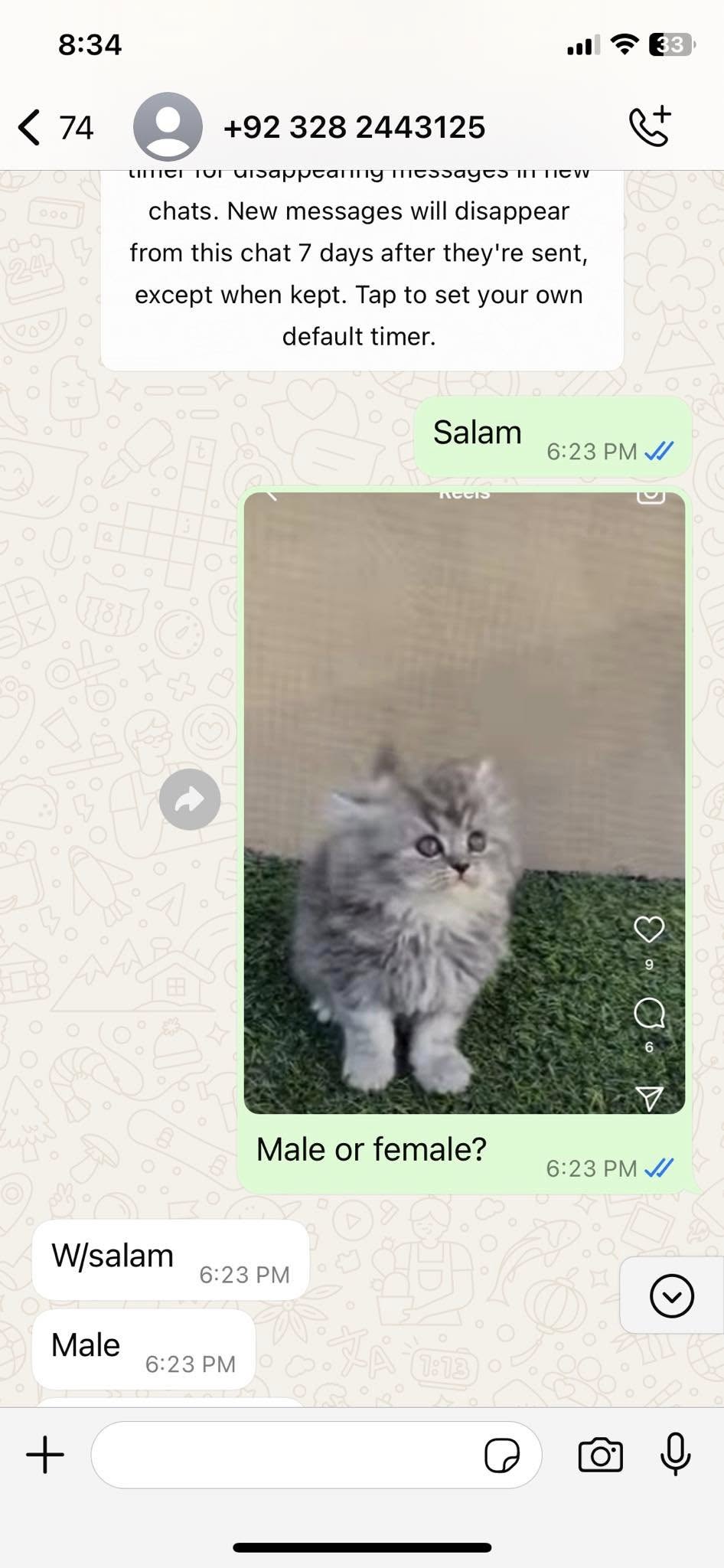 Report attachment 1 for Cat Selling Fraud