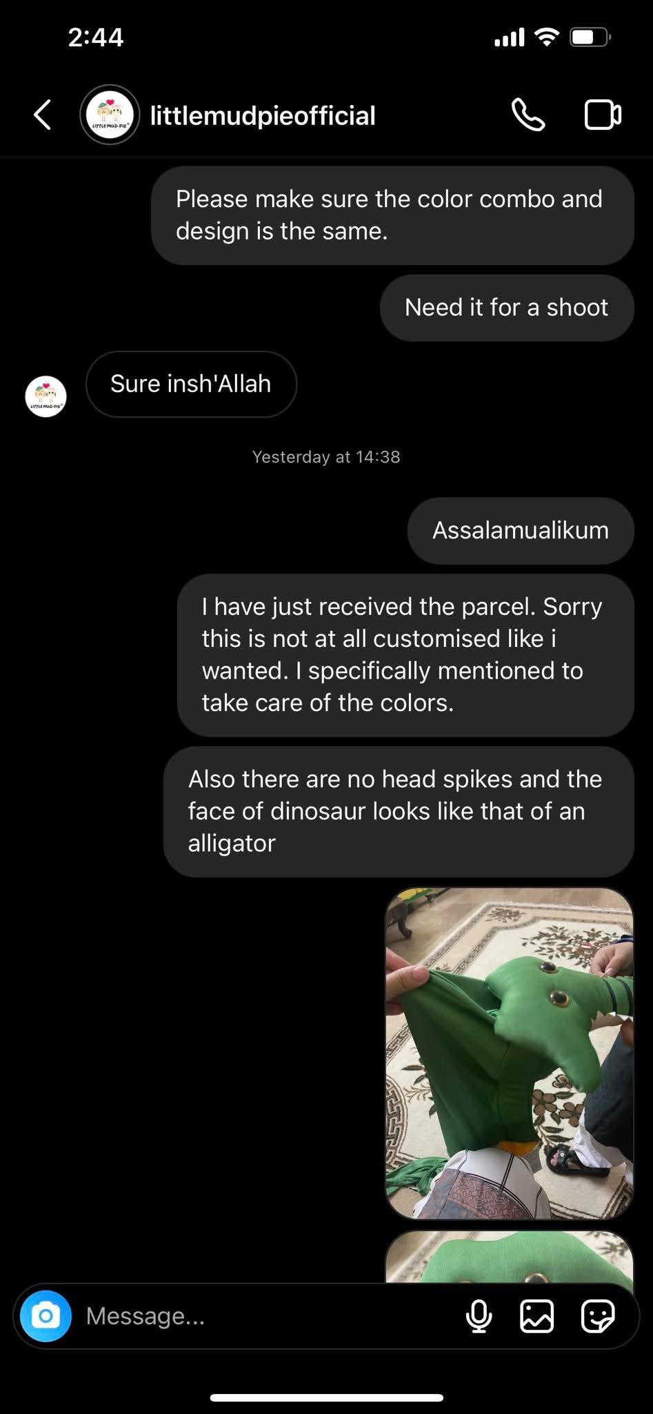 Report attachment 3 for Fake insta page