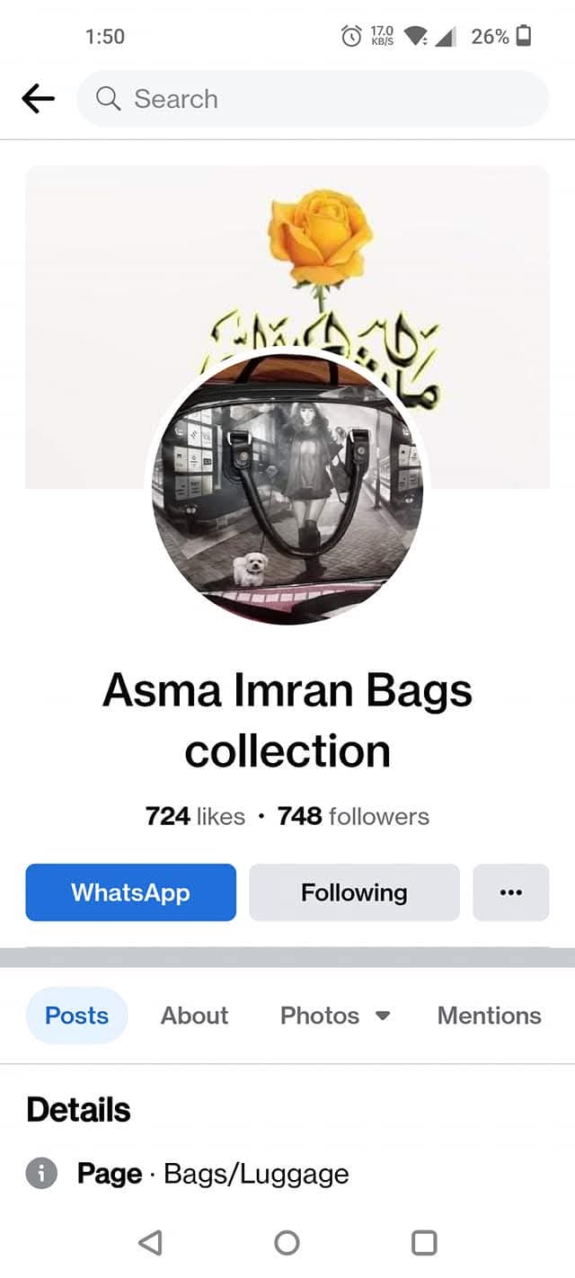 Report attachment 1 for Fraud hang bag selling page