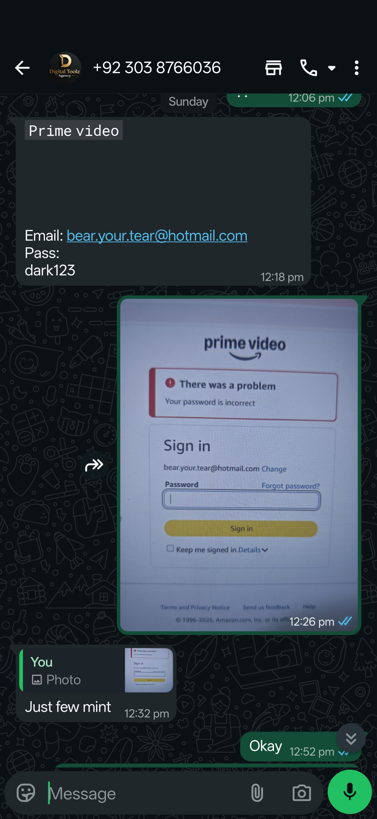 Report attachment 2 for Scammer on the name of so called digital agency