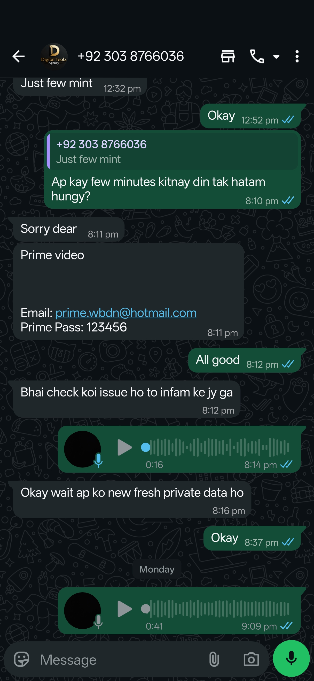 Report attachment 3 for Scammer on the name of so called digital agency