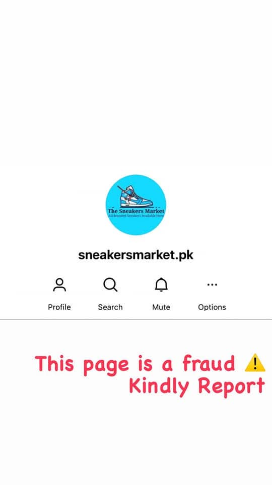 Report attachment 1 for Scam insta page